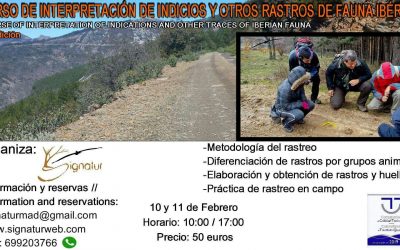 Curso de Interpretación de Indicios y Otros Rastros de Fauna Ibérica