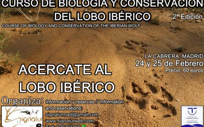 Curso de Biología y Conservación de LOBO IBÉRICO