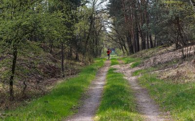 XVII CROSS ALPINO DEL TELÉGRAFO