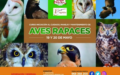 Curso de iniciación al cuidado, manejo y mantenimiento de AVES RAPACES