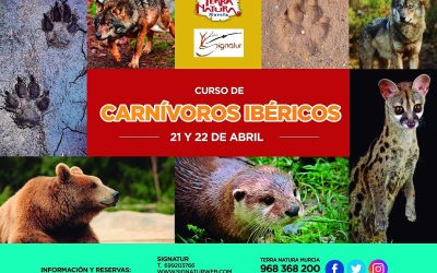 Curso Carníveros Ibéricos
