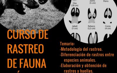 Curso de Rastreo de Fauna Ibérica