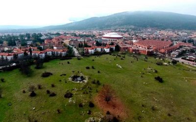 Curso sobre biología y conservación de LOBO IBÉRICO