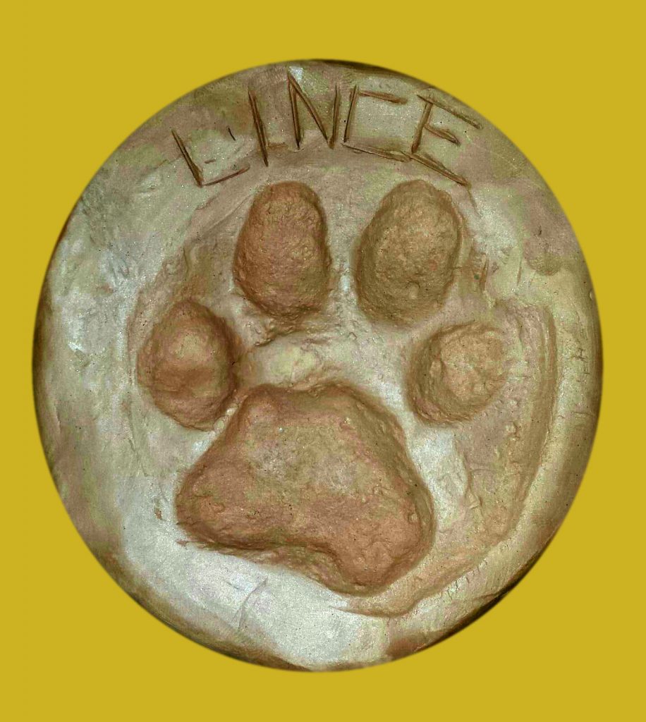 Huella Lince Ibérico