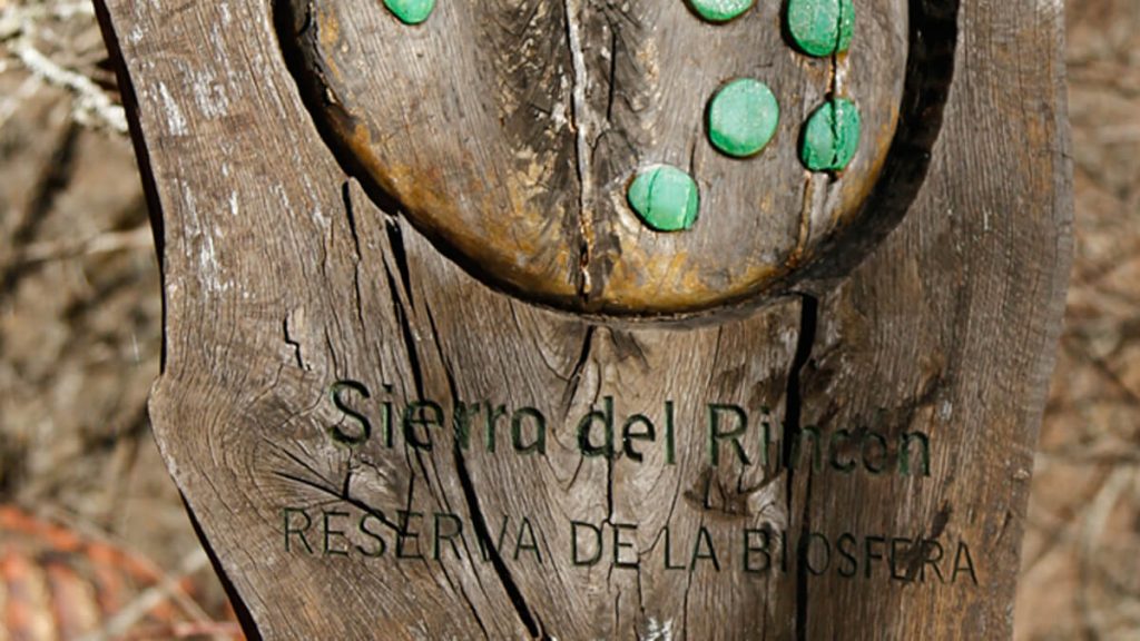 Hayedo de Montejo Sierra del Rincón