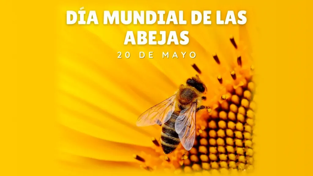 Día Mundial de las Abejas. Polinizadores
